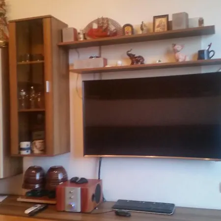 Apartment Petko Voivoda *