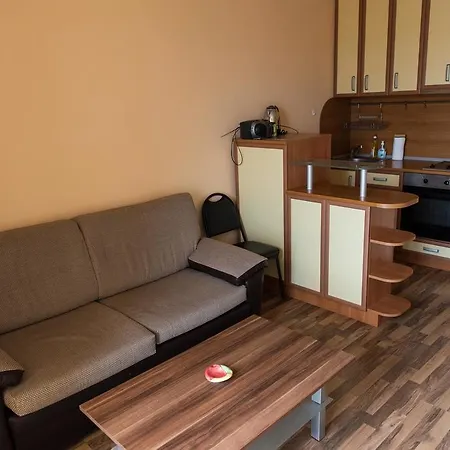Petko Voivoda Apartment *